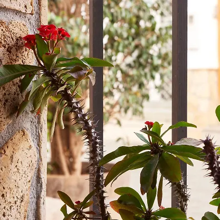 Meson La Hospederia Bed & Breakfast